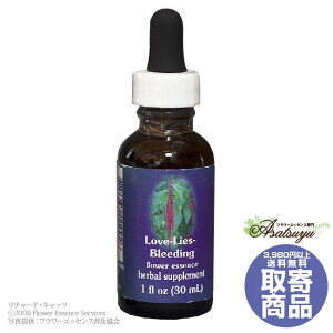 ���u���C�Y�u���[�f�B���O 30ml FES�t�����[�G�b�Z���X �N�C���g�G�b�Z���X ���� �L�����Z���s�� �t�����[�G�b�Z���X
