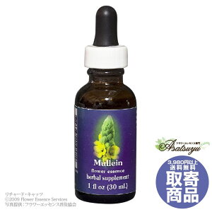 �~�����C�� 30ml FES�t�����[�G�b�Z���X �N�C���g�G�b�Z���X ���� �L�����Z���s�� �t�����[�G�b�Z���X