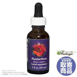 �i�X�^�[�V�A�� 30ml FES�t�����[�G�b�Z���X �N�C���g�G�b�Z���X ���� �L�����Z���s�� �t�����[�G�b�Z���X