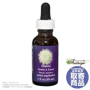 �N�B�[���A���Y���[�X 30ml FES�t�����[�G�b�Z���X �N�C���g�G�b�Z���X ���� �L�����Z���s�� �t�����[�G�b�Z���X