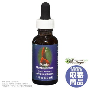 �X�J�[���b�g�����L�[�t�����[ 30ml FES�t�����[�G�b�Z���X �N�C���g�G�b�Z���X ���� �L�����Z���s�� �t�����[�G�b�Z���X