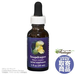 �X�i�b�v�h���S�� 30ml FES�t�����[�G�b�Z���X �N�C���g�G�b�Z���X ���� �L�����Z���s�� �t�����[�G�b�Z���X