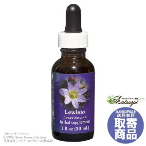 ���C�[�W�A 30ml FES�t�����[�G�b�Z���X �����W�I�u���C�g ���� �L�����Z���s�� �t�����[�G�b�Z���X