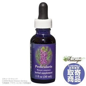 �y�f�B�L�������X 30ml FES�t�����[�G�b�Z���X �����W�I�u���C�g ���� �L�����Z���s�� �t�����[�G�b�Z���X