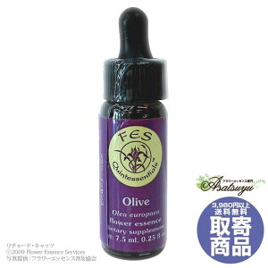�I���[�u(7.5ml) Olive FES�t�����[�G�b�Z���X ���T�[�`�o�b�` ���� �L�����Z���s�� �t�����[�G�b�Z���X
