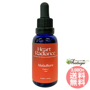 ���[���_�[�� �x�[�X �`���N���G�b�Z���X Muladhara Base Chakra Essence �n�[�g���f�B�G���X�G�b�Z���X �`���N���u�����h �t�����[�G�b�Z���X