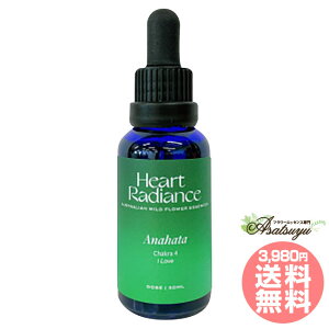 �A�i�[�n�^ �n�[�g �`���N���G�b�Z���X Anahata Heart Chakra Essence �n�[�g���f�B�G���X�G�b�Z���X �`���N���u�����h �t�����[�G�b�Z���X
