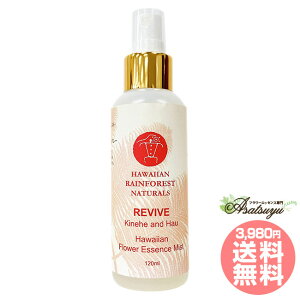 @Cu REVIVE nCAECEtHXgEi`Y t[GbZX