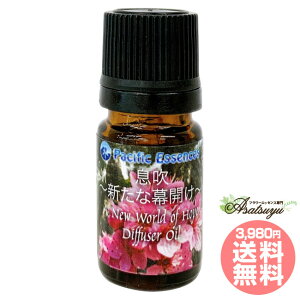  `VȖJ` A New World of Hope fBt[U[IC pVtBbNGbZX ̑GbZX t[GbZX