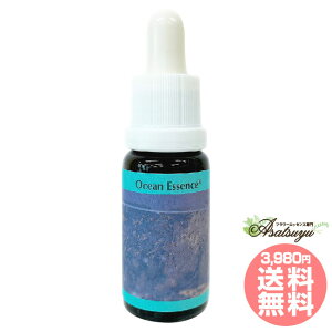 No.21 �R���ePHI�G�b�Z���X �I�[�V�����G�b�Z���X �t�����[�G�b�Z���X �N�_�N���Q�� Siphonophorae