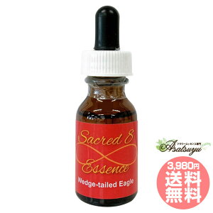 �I�i�K�C�k���V �I�X Wedge-tailed Eagle �Z�C�N���b�h�G�C�g�G�b�Z���X �W�I�}���V�[/�����h�q�[�����O�L�b�g �t�����[�G�b�Z���X