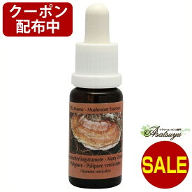 楽天市場 ポリポアの通販