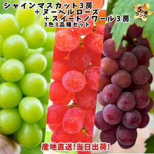 VC}XJbg3[{k[x[Y1[{XC[gm[3[@7[Zbg@VC}XJbg@k[x[Y@XC[gm[@Ȃ@Hהׁ@Ԃǂ@Ԃǂ@Ԃǂ