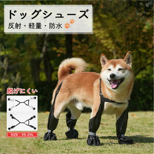 p V[Y C hbOV[Y  Nc ̌C ʌC hbOu[c I[V[Y ߂ U ~ h~  ی  G J ~  AXt@g ^ ^  y  