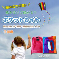 凧 カイト ポケットカイト 凧上げ 紙鳶 凧揚げ タコ揚げ 骨なしカイト 携帯凧 Pocketkite 骨なし 折り畳…
