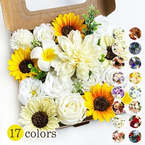 ̓ {bNXt[ v[g  o ͂Ȃ Mtg [Y t[{bNX o^Cf[ NX}X j  ̓ a j LO  hV̓ EGf