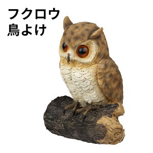 tNE 悯 悯 ӂ낤 K[f 悯ObY tNE I[ig u K[f   ΍ {  JX΍ h I[ig  K[fjO