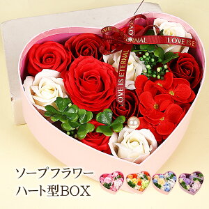 ̓ \[vt[ n[g^ J[l[V v[g  o ͂Ȃ Mtg [Y t[{bNX o^Cf[ NX}X j  ̓ a j LO 