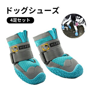  C C ̌C hbOV[Y V[Y n[h h X|[c   \tg h _炩 VjA PA ^ bV ɂS }WbNe[v u[ PKh~ 