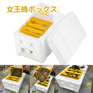 女王蜂ボックス 女王蜂のケージ 蜂の輸送ボックス ミニ 飼育箱 養蜂ツール フォーム イェロー 女王蜂ケージ クイーンケージ クイーン育成箱 養蜂クイーンボックス 養蜂ミニ巣箱 女王蜂育成