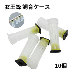 I P[X 10 ~co` IW鑕u I ~co`  {Iu  I ݂΂ {Ip Lb`[P[W {I ֗ {I Ipi ILb`