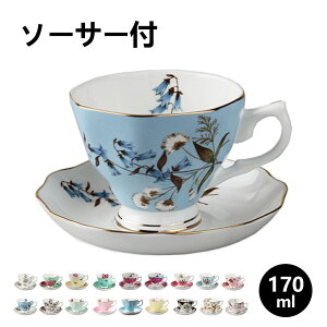 Jbv \[T[ k H   }O Jbv R[q[Jbv eB[Jbv Rbv ԕ o  i qp R[q[Jbv M Lb` pi g 蕨  a v