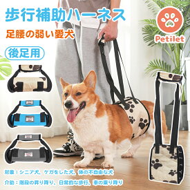 スーパーSALE＼エントリーでP5倍＋100円OFF／Petilet 犬 ハーネス 歩行補助 介護 歩行器 イージーウォークハーネス 老犬介護用品 怪我 手術 快復中 病気 安全帯 補助 ペット用 脱着簡単 お出かけ便利 小型犬 中型犬 大型犬