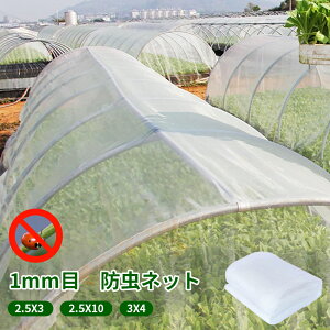 hlbg hh ڍ 1mm VJbgXgO h hV[g |plbg ؍͔| hhlbg_Ɨp lbg |  nEX _Ǝ K[fjO ƒ؉ |