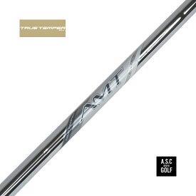 【新品・正規】TRUE TEMPER AMT SILVER シャフト