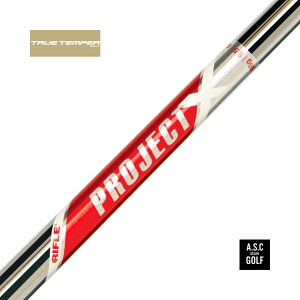 �y�V�i�E���K�zTRUE TEMPER PROJECT X RED�V���t�g