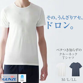 【本日ポイント5倍】 グンゼ アセドロン 吸汗 速乾 Uネック Tシャツ M L LL MCA613 放湿性 ムレ 消臭 ニオイ 丸首 汗対策 汗ムレ 防止 汗冷え 吸放湿 抗菌 防臭 春 夏 秋 下着 肌着 インナー 男性 紳士 オフィス 仕事 GUNZE[PD]