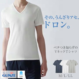 【本日ポイント5倍】 グンゼ アセドロン 吸汗 速乾 Vネック Tシャツ M L LL MCA615 放湿性 ムレ 消臭 ニオイ 丸首 汗対策 汗ムレ 防止 汗冷え 吸放湿 抗菌 防臭 春 夏 秋 下着 肌着 インナー 男性 紳士 オフィス 仕事 GUNZE[PD]