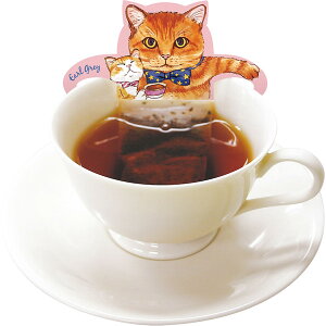 tbNeB[ LbgJtFiA[OCji3eB[obOj