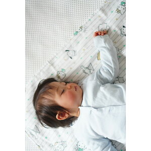 y420őP47{IvGg[zTIxr[ K[[