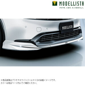 MODELLISTA fX^ Ki tgX|C[ ELEGANT ICE STYLE fn vEX60n MSD41-47004-NP