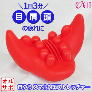 Cogit RWbg Xgb`ObY X}z΍Xgb`[ 091865