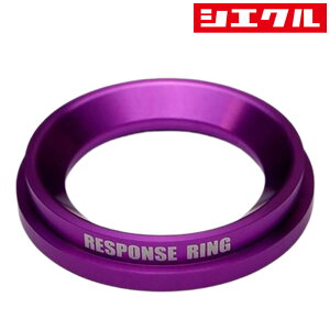 VGN SIECLEAVXgO IfbZC RC1/RC2 2013/11` K24W RR06TP