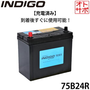 INDIGO CfBS v~AJ[obe[ TOYOTA g^ ACVX DBA-ZGM10W H21/9` [d #75B24R