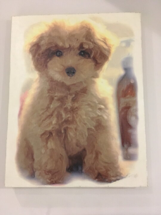 楽天市場 メモリアルグッズ デジタル 油絵風 ペット 犬 猫 思い出 に 残る 似顔絵 メモリアル プレゼント ペット用品 小型犬 絵 誕生日 位牌 記念日 制作30日 プードル専門店アッシュブロンド
