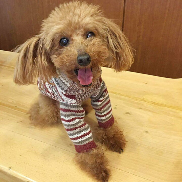 楽天市場 Devon Drew デヴォン ドリュー ティンズバリーストライプロールネックジャンバー イギリスブランド犬服 ブリティッシュドッグウエア プードル専門店アッシュブロンド