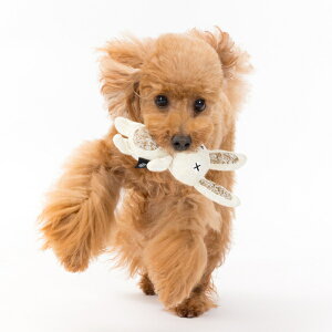 FAD Aj}ubVgCSTCY@vȌ@