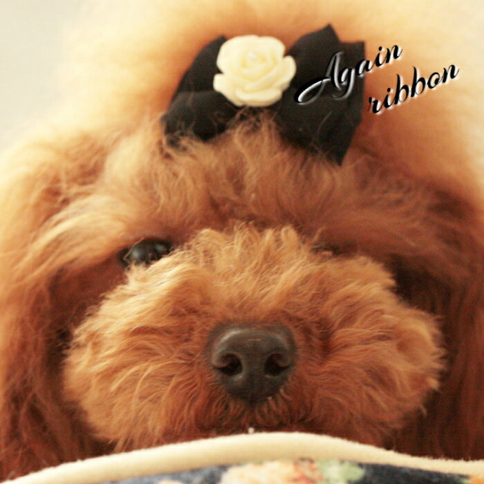 楽天市場 ローズリボン 小型犬 ペット用 リボン 可愛い 人気 ペット