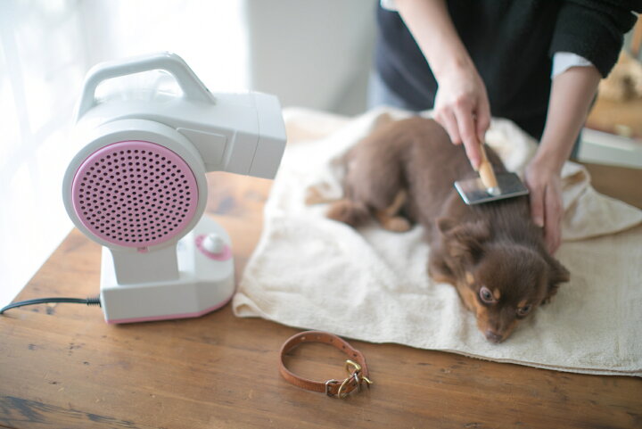 楽天市場 ベティオン ペットドライヤー 犬用 ドライヤー スタンドドライヤー 犬ハンドフリードライヤー プードル用ドライヤー 犬マイナスイオン ベティオン ドライヤー プードル専門店アッシュブロンド 楽天市場 ベティオン ペットドライヤー 犬用 ドライヤー スタンドドライヤー 犬ハンドフリードライヤー プードル用ドライヤー 犬マイナスイオン ベティオン ドライヤー プードル専門店アッシュブロンド