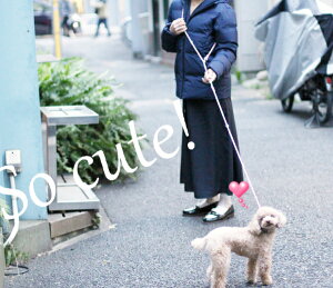 goldenmama肪g3WaynYt[[h ^p(̏d6Lʂ܂) [hEGXgA|ɂĂgp܂