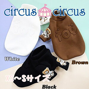 2020@A/W@Collection circus circuszT[JXT[JX@Toy Boy T@circus circus Bearbyڂ䂭̃Jbg\[TVcB