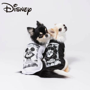 Disney ~bL[An^N@@fBYj[@~bL[@@ā@^Ngbv@Zu@ybgEGA@G炵Ē錢