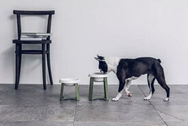 NEWカラー　ペコロ　フードスタンド　Lトール　犬　食器　おしゃれなフードボール　pecolo Food stand L tall 体高30センチ以上柴犬、ボストンテリア、ミニチュアシュナウザー、ビーグル、コーギー、ボーダーコリー