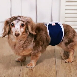 p[tFNgtBbg@XlCi@}WbNp[xg@@}i[xg@҂肷}i[xg