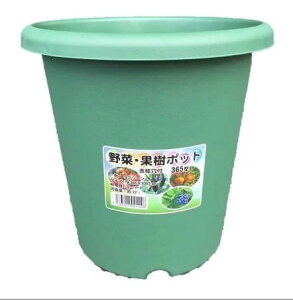 Zbg 10 Zbg ؁Eʎ|bg@365^@ 365*H365@22L S @ll蔭i