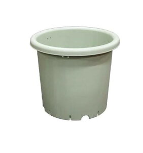 �Z�b�g���� 20 �Z�b�g AZ�x�W�|�b�g 9���@�O���[�� ��300��x��255(H) ���S���� ���@�l�l���蔭���i